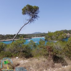 Parc natural de Mondragó