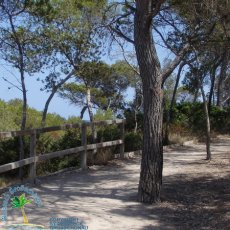 Parc natural de Mondragó
