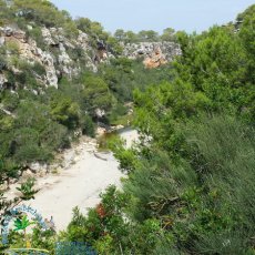 Cala Pi