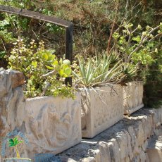 Strände & Buchten » Cala s Almunia